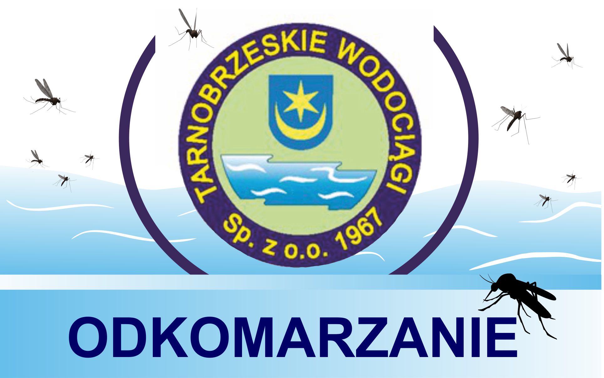 W dniach 7-9 września w Tarnobrzegu planowane jest odkomarzanie